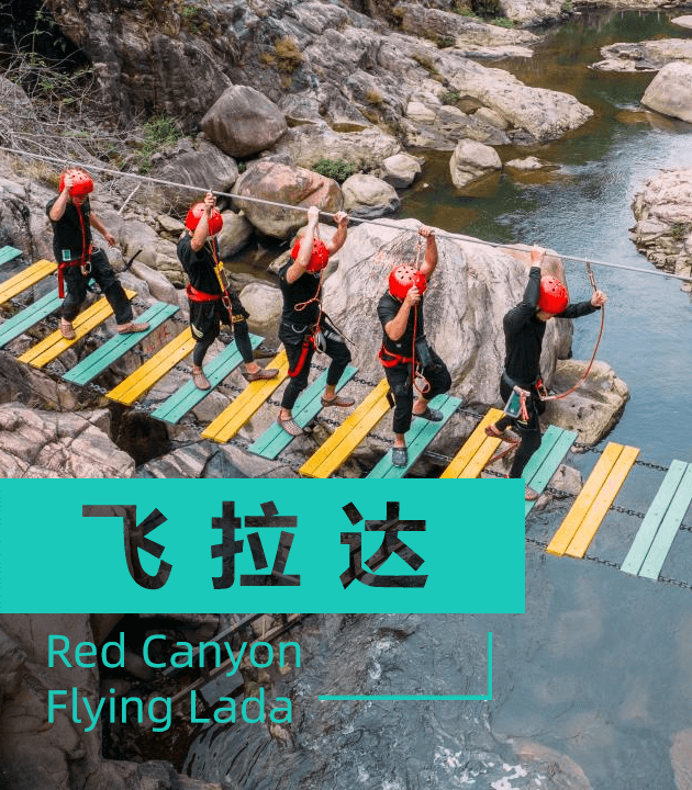 飞拉达